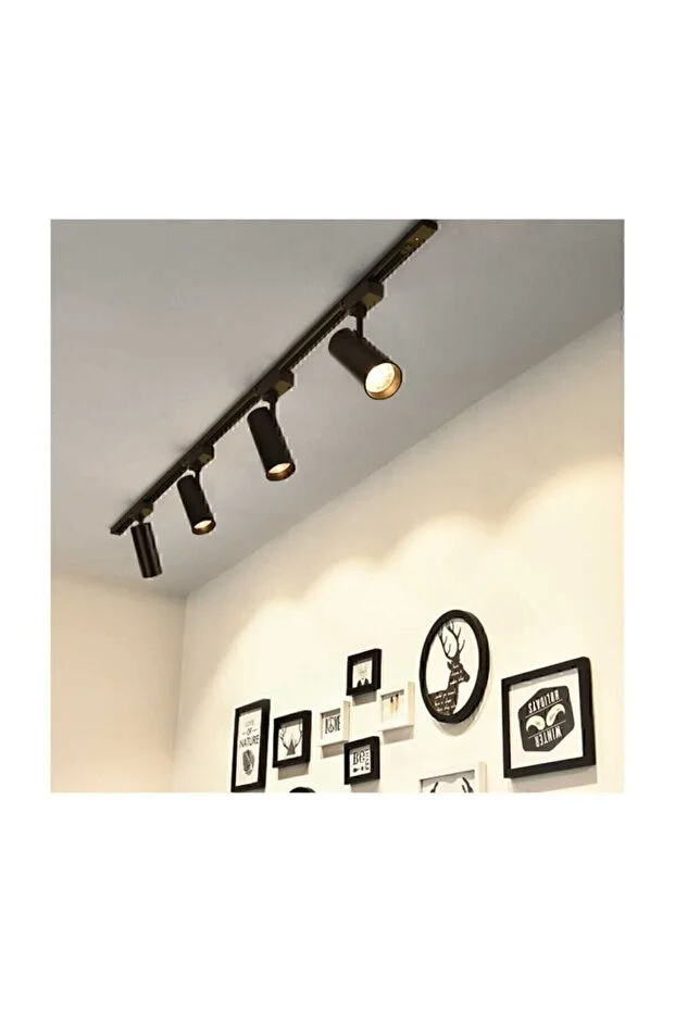 Siyah Kasa Ve Günışığı 4 Adet 270 Derece Dönen Led Ray Spot Lamba